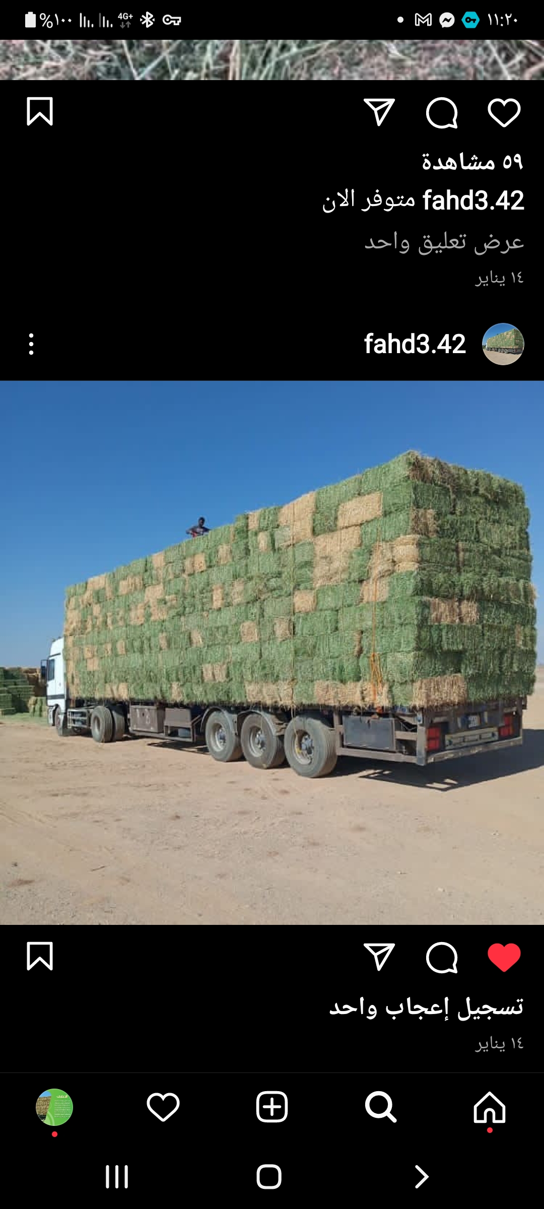 مزرعة السنابل للاعلاف