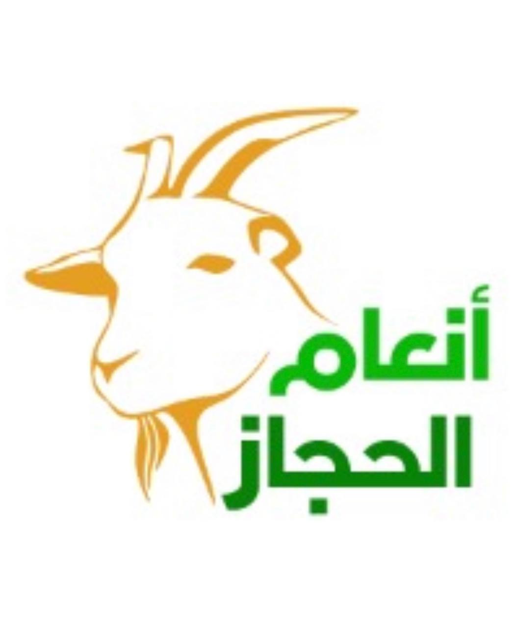 أنعام الحجاز