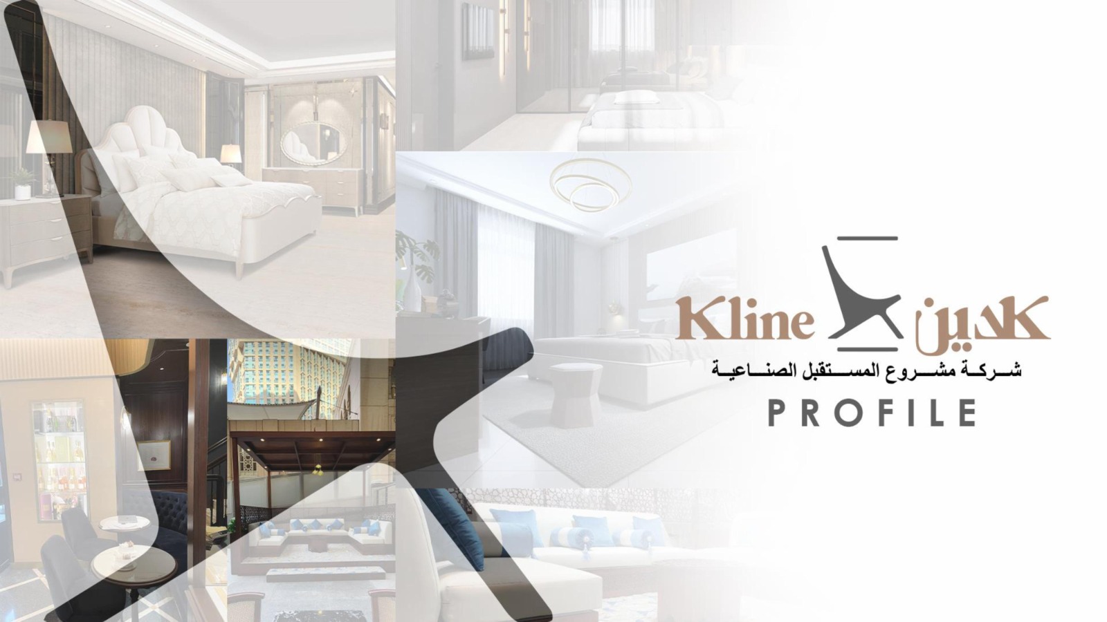 شركة مشروع المستقبل (كلاين)