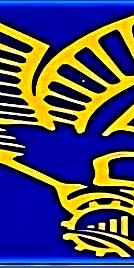 النسور الذهبية المتحده للتجارة